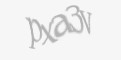 Қорғаныс коды
